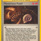 Mysterious Fossil