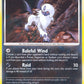 Absol Lv.31
