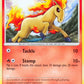 Ponyta Lv.13