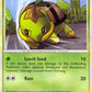Turtwig