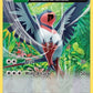 Swellow