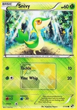 Snivy