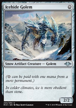 Icehide Golem