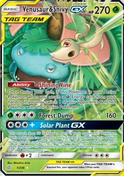 Venusaur & Snivy GX