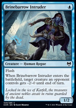 Brinebarrow Intruder