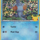 Mudkip