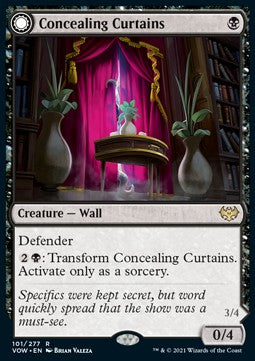 Concealing Curtains // Revealing Eye