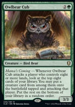 Owlbear Cub
