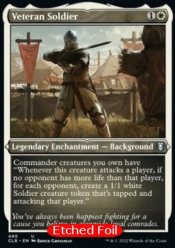 Veteran Soldier (V.1)