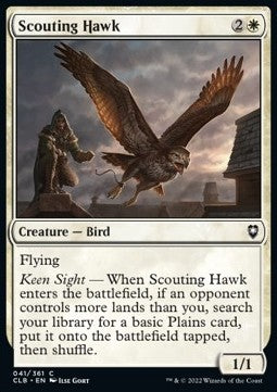 Scouting Hawk