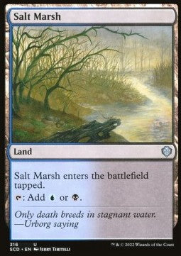 Salt Marsh