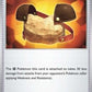 Rock Chestplate