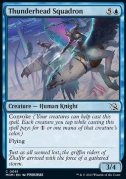 Thunderhead Squadron