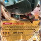 Ting-Lu ex