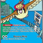 Pidgeot ex