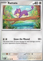 Rattata