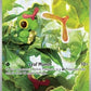 Caterpie