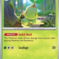 Turtwig