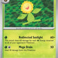 Sunflora