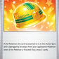 Lucky Helmet