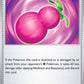 Payapa Berry