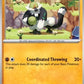 Passimian