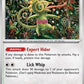 Kecleon