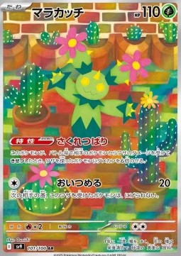 Maractus