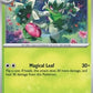 Floragato