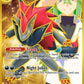 N's Zoroark ex