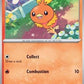 Torchic