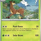 Sawsbuck