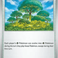 Forest of Vitality