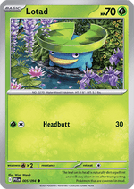 Lotad