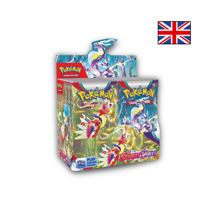 Pokemon Scarlet & Violet Base Display