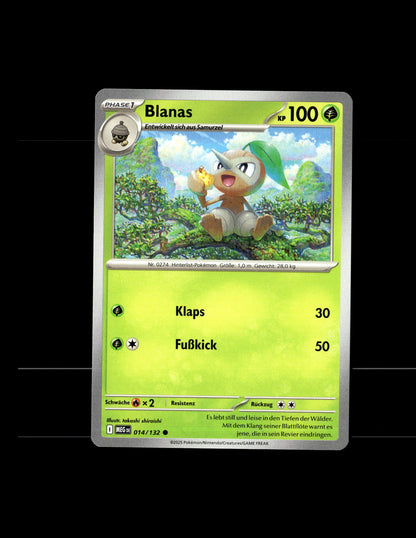 Nuzleaf - Mega Evolution #14 [Common]