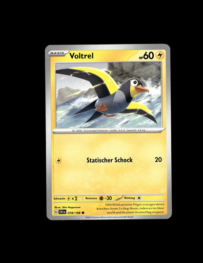 Wattrel - Scarlet & Violet #78 [Common]