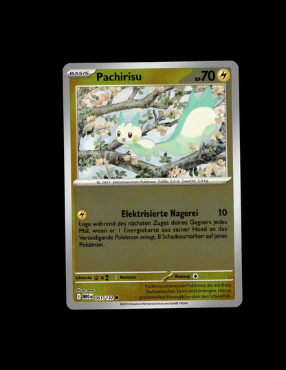 Pachirisu - Mega-Entwicklung #051 [Häufig]