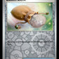 Sacred Ash - Destined Rivals #168 [Uncommon]