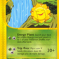 Sunflora