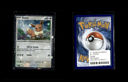 Evoli - SVP Black Star Promos #043 [Keine]