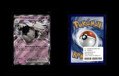 Houndstone ex - SV Black Star Promos #162 [Promo]