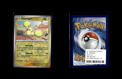 Oricorio - Paradox Rift #67 [Common]