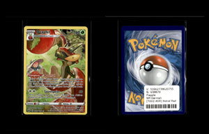 Flapple - Astral Radiance #TG02 [Holo Rare]