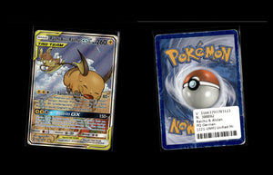 Raichu & Alolan Raichu GX - Unified Minds #221 [Ultra Rare]