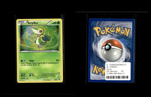 Snivy - BW Black Star Promos #1 [Promo]