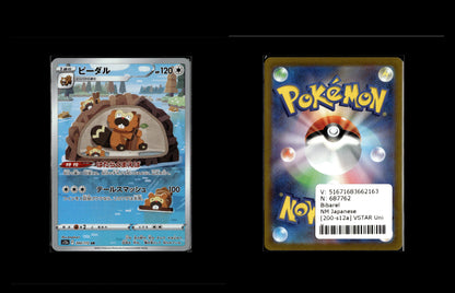 Bibarel - VSTAR Universe #200 [Illustration Rare]