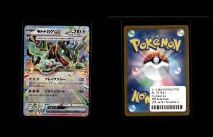 Cyclizar ex - Paradise Dragona #51 [Double Rare]