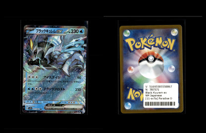 Black Kyurem ex - Paradise Dragona #11 [Double Rare]