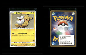Togedemaru - Ash vs Team Rocket Deck Kit #6 [Fixed]